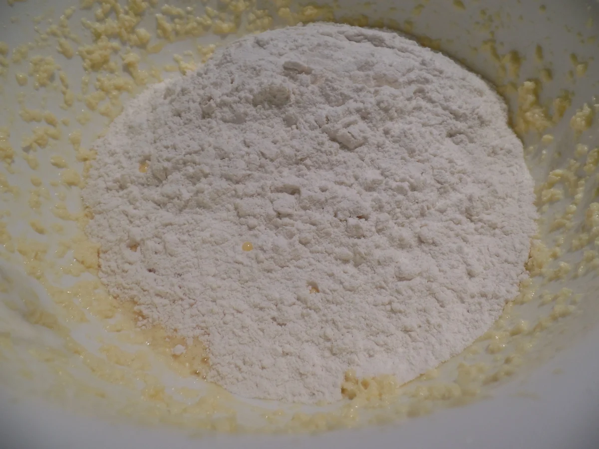 Kokos-Zwetschgen-Kuchen - Rezept - Bild Nr. 1096