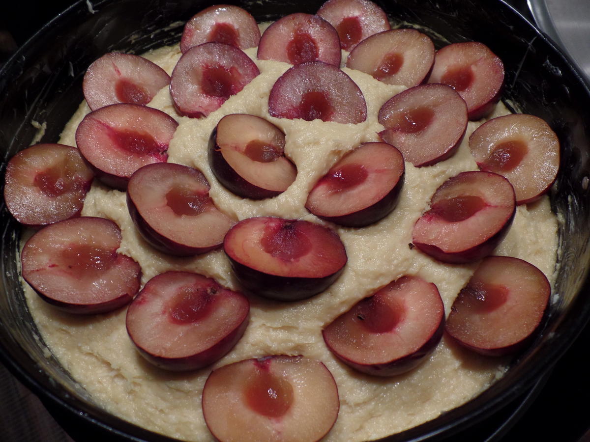 Kokos-Zwetschgen-Kuchen - Rezept mit Bild - kochbar.de