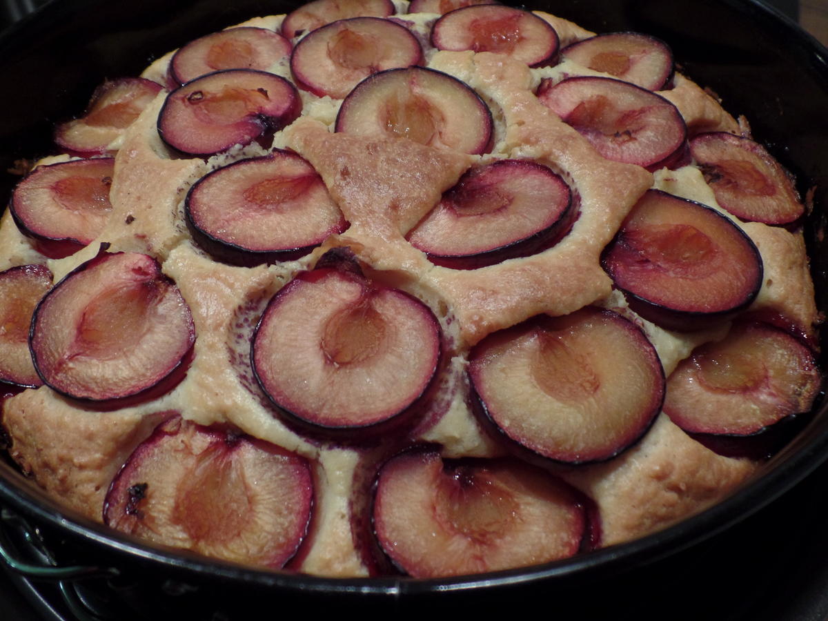 Kokos-Zwetschgen-Kuchen - Rezept mit Bild - kochbar.de