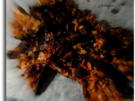 Florentiner-Ecken - Rezept - Bild Nr. 1106