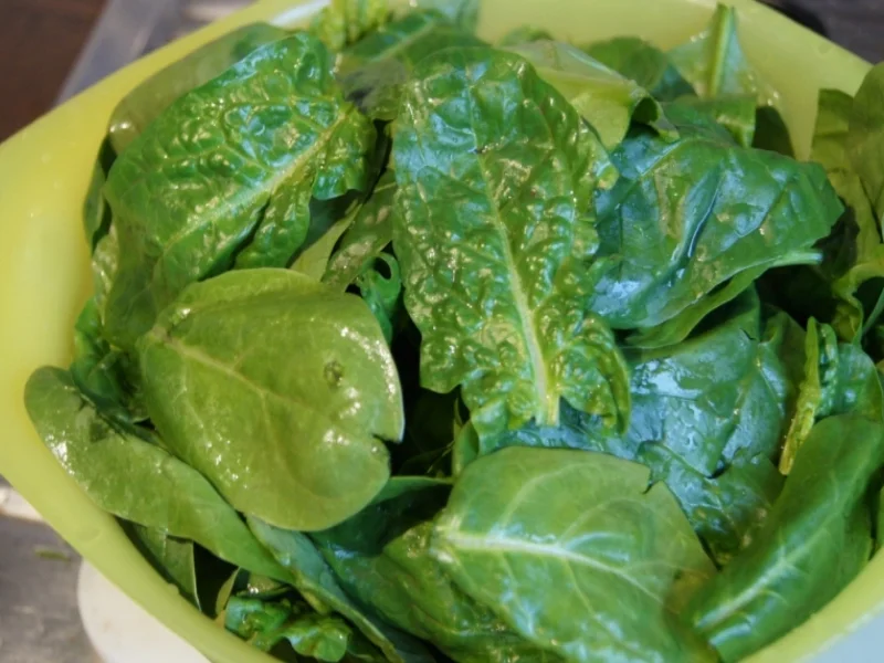 Rezept: Spinat-Semmelknödel mit Waldpilz-Rahmragout Bild Nr. 1107 Spinat-Semmelknödel mit Waldpilz-Rahmragout - Rezept - Bild Nr. 1107