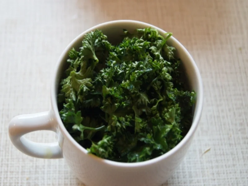 Rezept: Spinat-Semmelknödel mit Waldpilz-Rahmragout Bild Nr. 1120 Spinat-Semmelknödel mit Waldpilz-Rahmragout - Rezept - Bild Nr. 1120