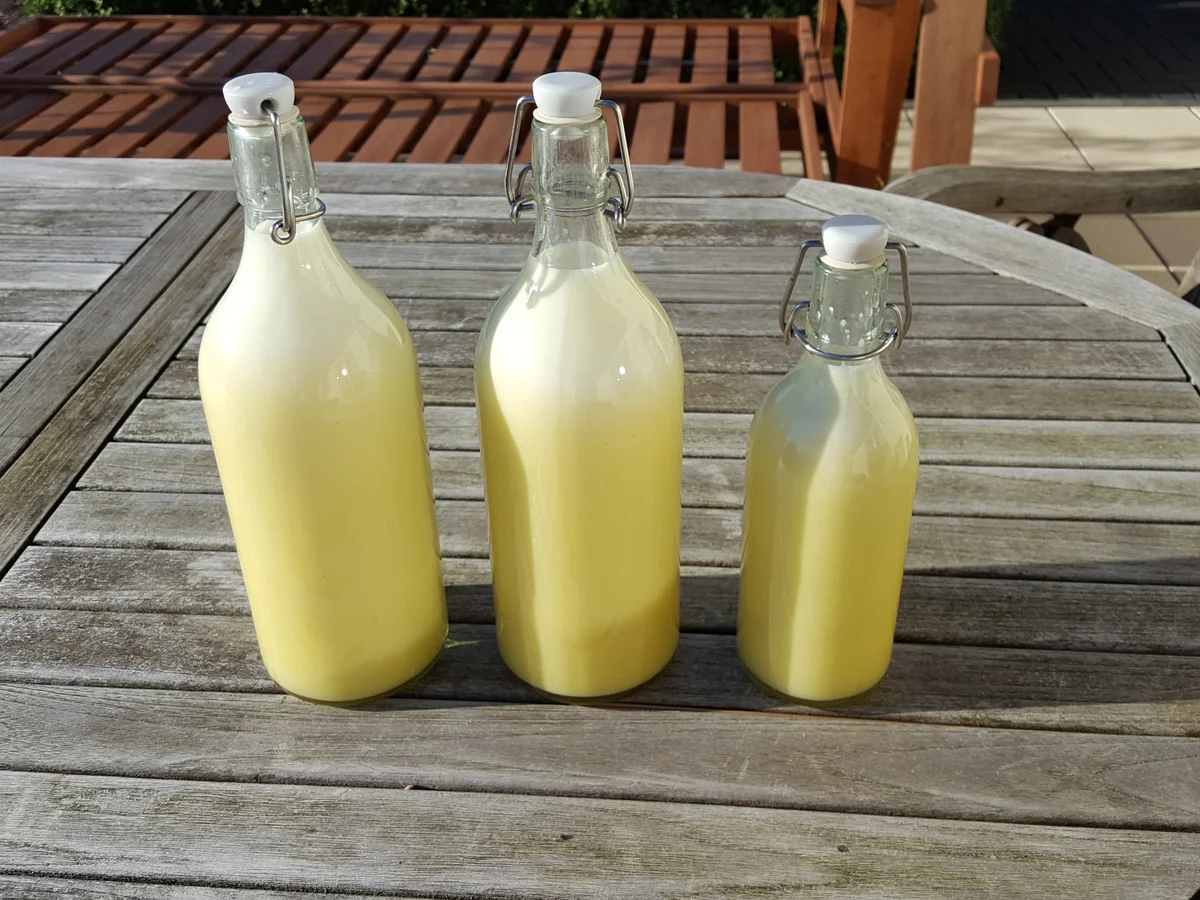 Rezept: Klötenköm (Eierlikör) Bild Nr. 1197 Klötenköm (Eierlikör) - Rezept - Bild Nr. 1197