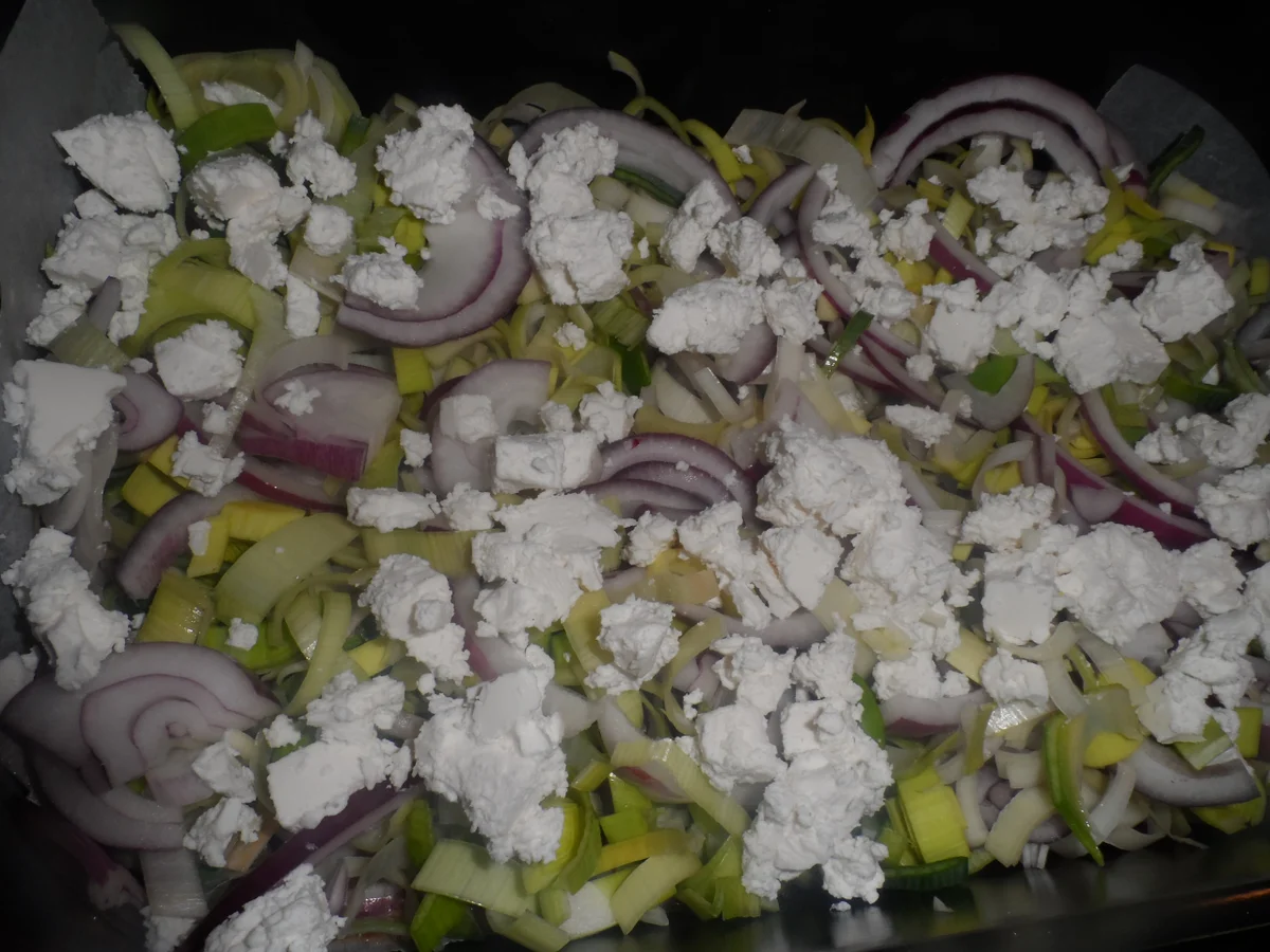 BiNe` S ZWIEBEL - LAUCHKUCHEN - Rezept - Bild Nr. 1136