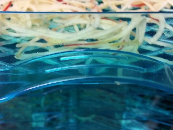 Rezept: Apfelspaghetti Bild Nr. 2 Apfelspaghetti - Rezept - Bild Nr. 2