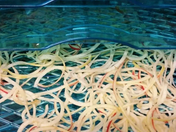 Rezept: Apfelspaghetti Bild Nr. 3 Apfelspaghetti - Rezept - Bild Nr. 3