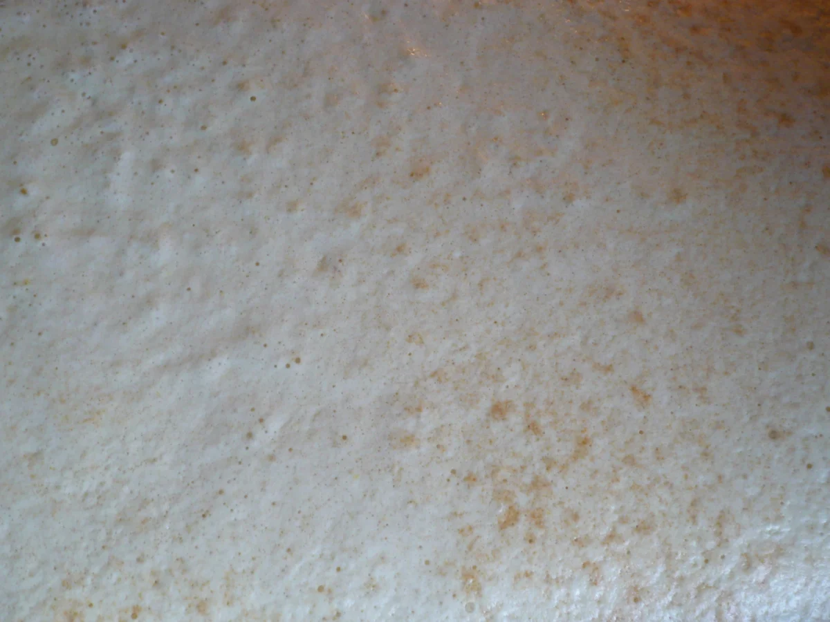 Mandel - Schmand Kuchen - Rezept - Bild Nr. 1210