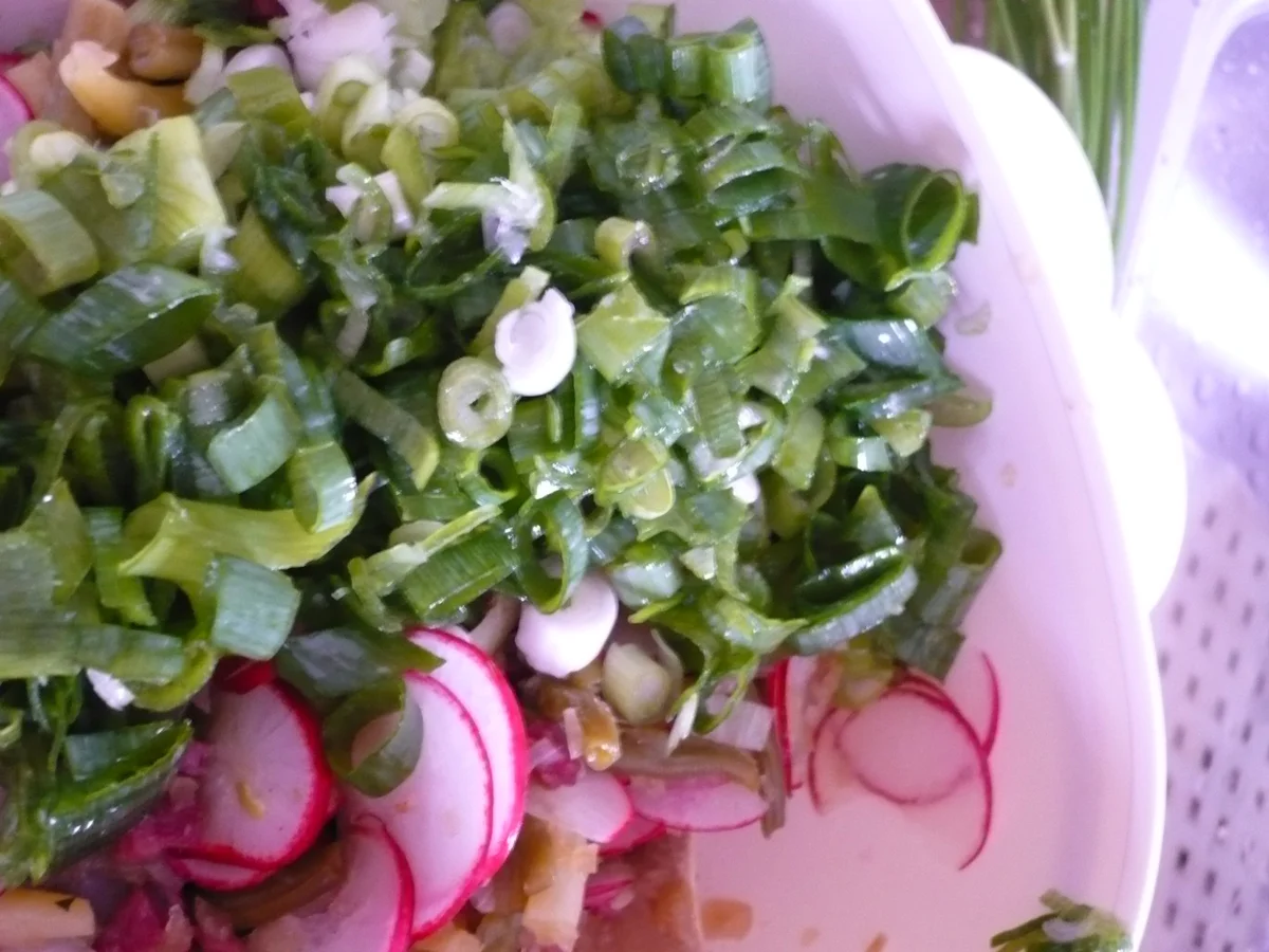 Rezept: Matjes - Bohnen - Salat Bild Nr. 1218 Matjes - Bohnen - Salat - Rezept - Bild Nr. 1218