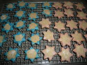 Walnuss - Zimt Sterne - Rezept - Bild Nr. 1222
