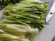 Geschmorter Porree - Rezept - Bild Nr. 1240