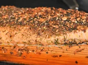 Lachs vom Grill - Rezept