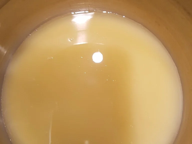 Eierpunsch ist nicht nur super in der Adventszeit - Rezept - Bild Nr. 1280