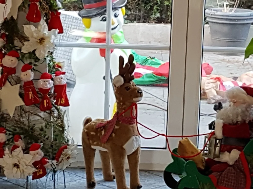 Eierpunsch ist nicht nur super in der Adventszeit - Rezept - Bild Nr. 1284