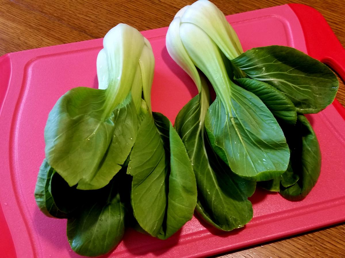 Pak Choi - Rezept - Bild Nr. 1281