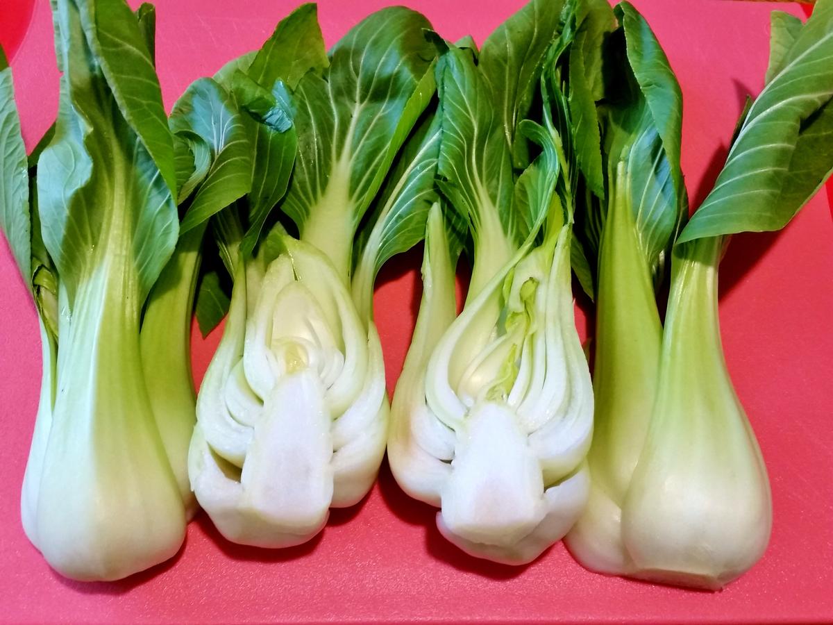 Pak Choi - Rezept - Bild Nr. 1282