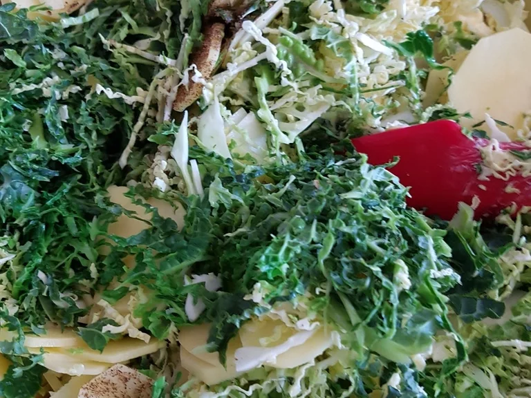 Wirsing mit Bratwurst - Rezept - Bild Nr. 1323