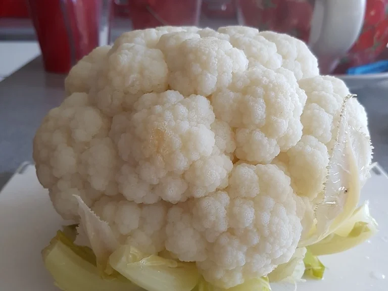 Rezept: Blumenkohl im ganzen gekocht und dann gebraten Bild Nr. 1321 Blumenkohl im ganzen gekocht und dann gebraten - Rezept - Bild Nr. 1321