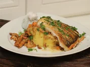 Zander umschmeichelt von Kräutern auf Kartoffelstampf-Pfifferling-Bett - Rezept