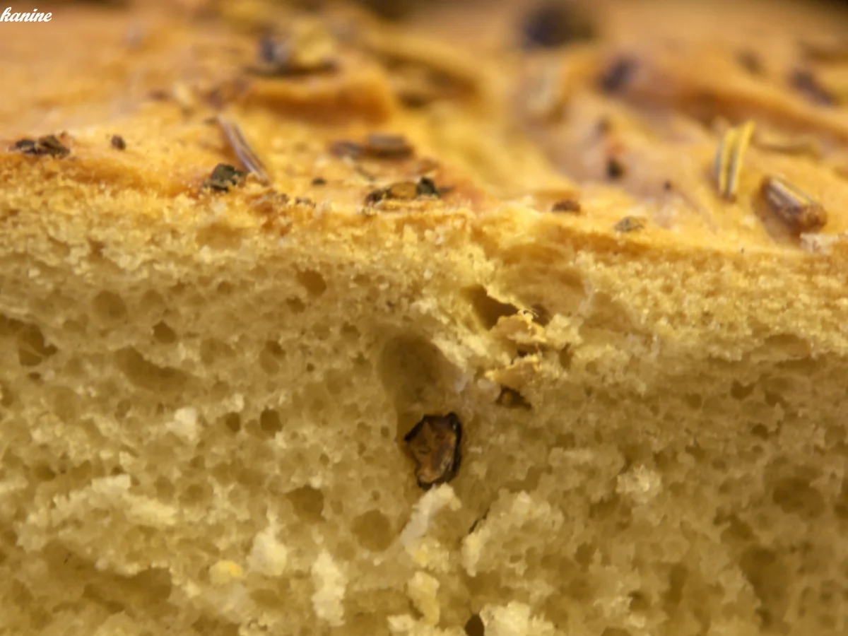 Rezept: Weißbrot mit Pfeffer und Fenchel Bild Nr. 1329 Weißbrot mit Pfeffer und Fenchel - Rezept - Bild Nr. 1329