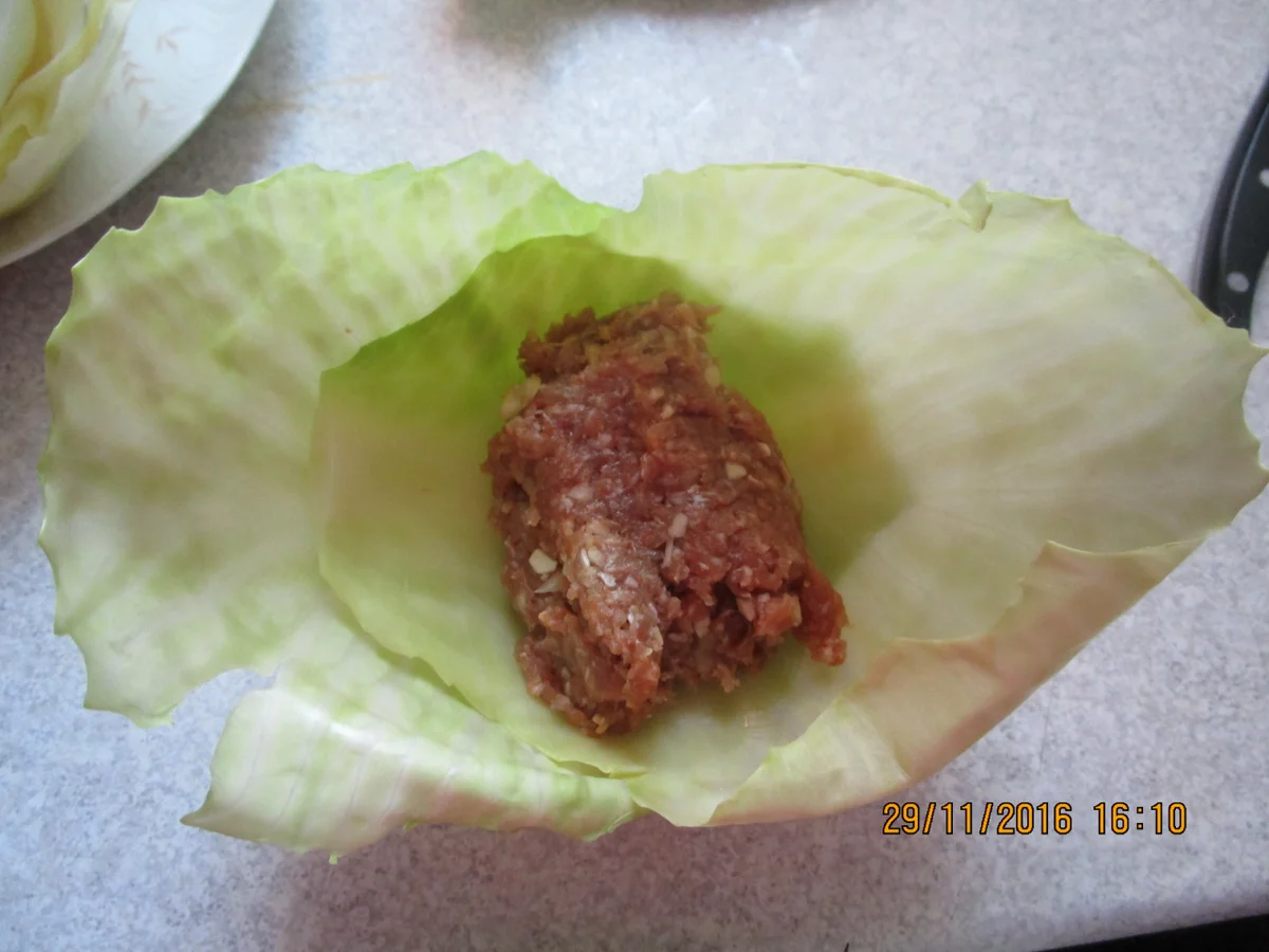 Rezept: Mama's Kohlrouladen Bild Nr. 1339 Mama's Kohlrouladen - Rezept - Bild Nr. 1339