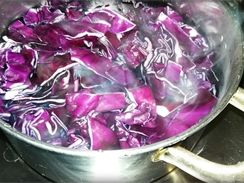 Rezept: Herbstliche Rotkohl Cremesuppe mit Johannisbeeren Bild Nr. 1334 Herbstliche Rotkohl Cremesuppe mit Johannisbeeren - Rezept - Bild Nr. 1334