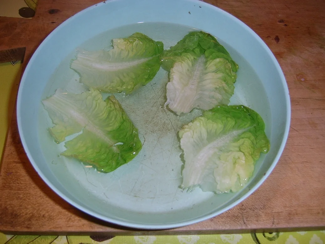 Schinken-Spargel-Brot - Rezept - Bild Nr. 1341