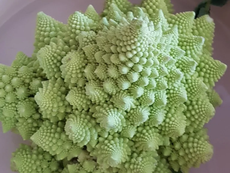 Romanesco "mein persönliches Weihnachtsbaumgemüse" - Rezept - Bild Nr. 1356