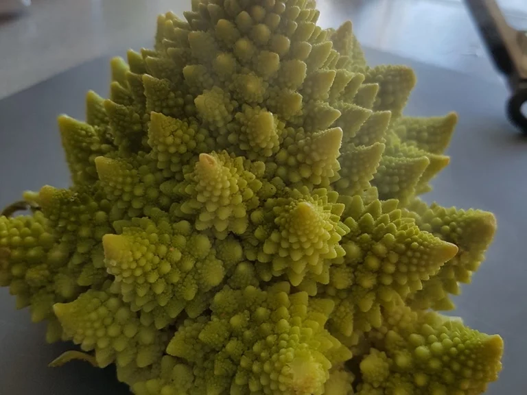 Romanesco "mein persönliches Weihnachtsbaumgemüse" - Rezept - Bild Nr. 1360