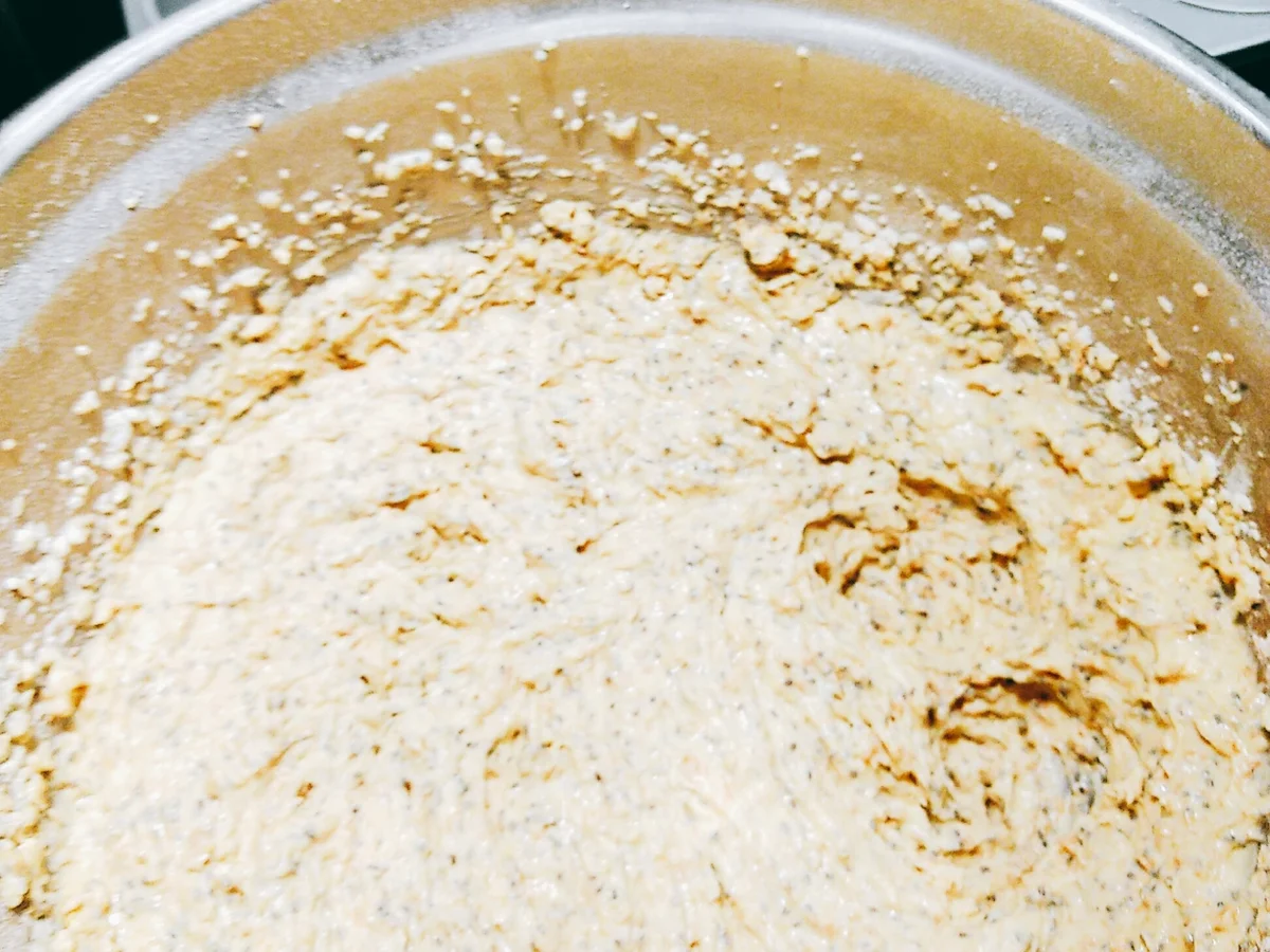 BiNe` S CHIA - PROTEINBRÖTCHEN - Rezept - Bild Nr. 1357