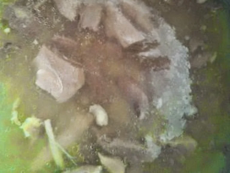 Biggi`s Spezial Vorratshaltung = Rillettes von der Gans - Rezept - Bild Nr. 1373