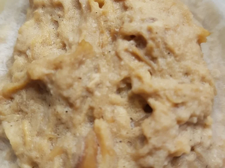 Biggi`s Spezial Vorratshaltung = Rillettes von der Gans - Rezept - Bild Nr. 1374