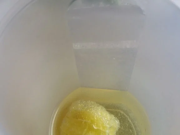 Zitronensirup für Getränke Sossen und Dessert`s - Rezept - Bild Nr. 1371