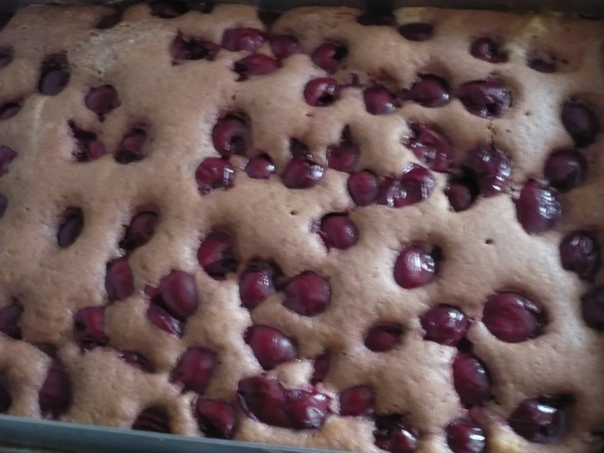 Rezept: Donauwellen Bild Nr. 1414 Donauwellen - Rezept - Bild Nr. 1414