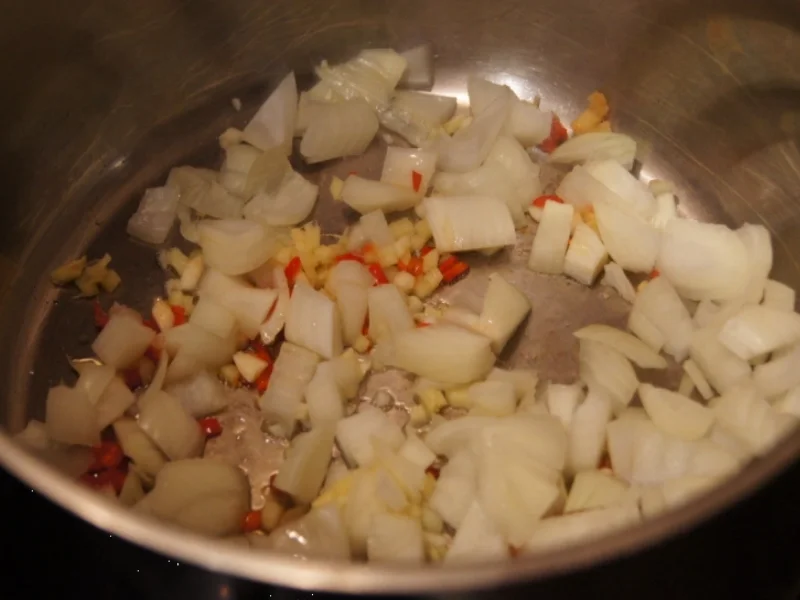 Hühnersuppe mit Gemüse und Eierstich asiatisch gewürzt - Rezept - Bild Nr. 1416