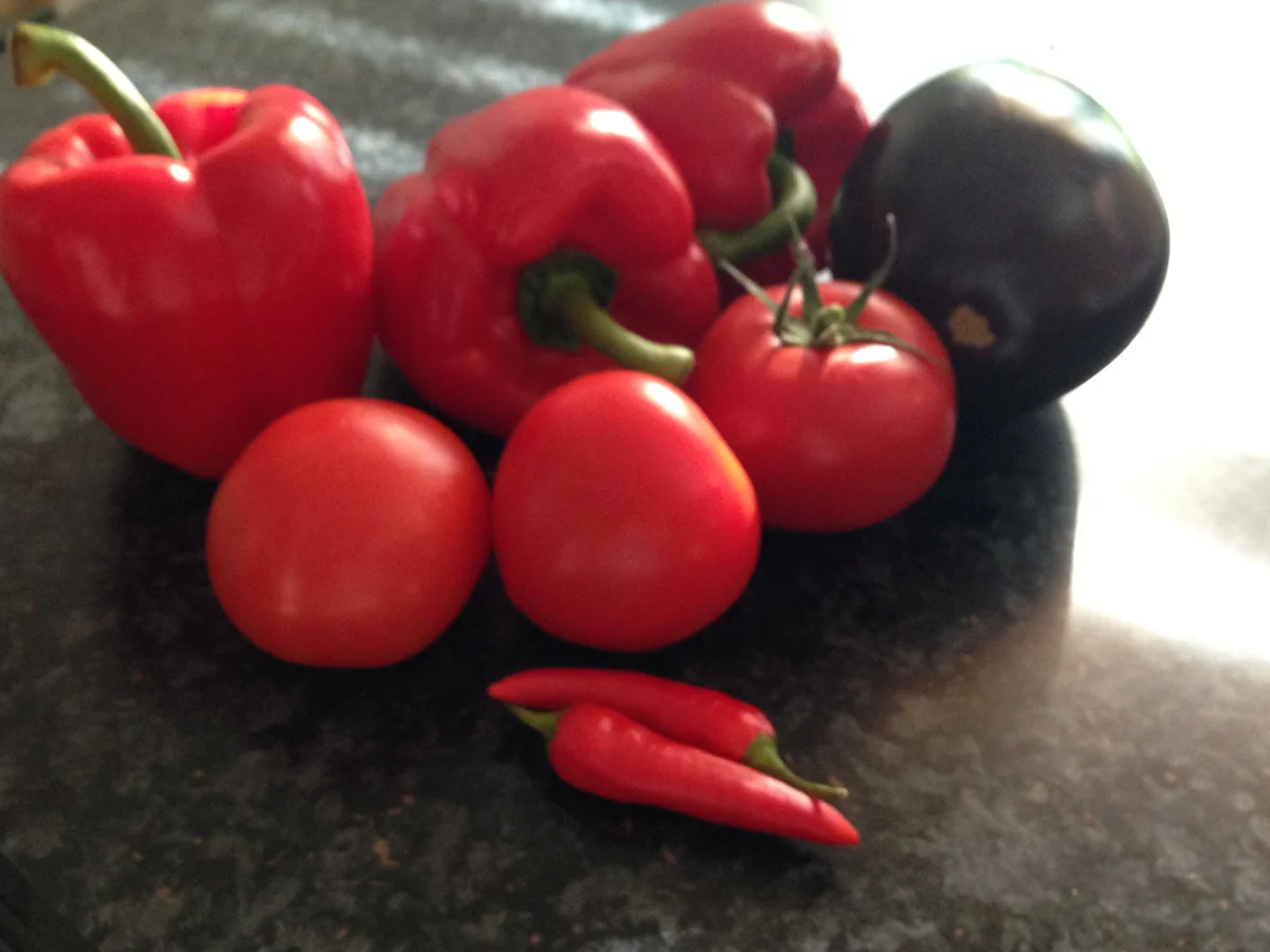 Rezept: Ajvar Bild Nr. 1414 Ajvar - Rezept - Bild Nr. 1414