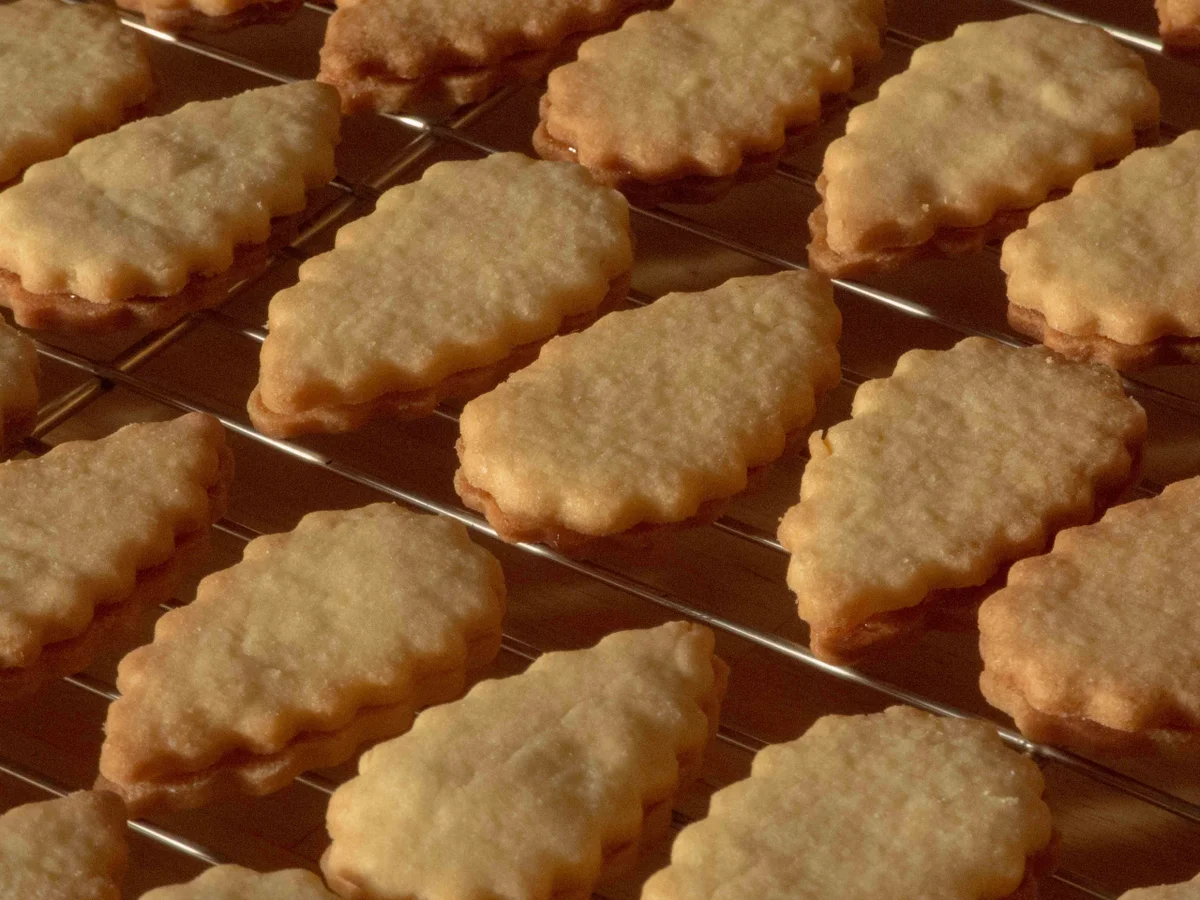 Plätzchen: Aprikosenblätter - Rezept - Bild Nr. 1412