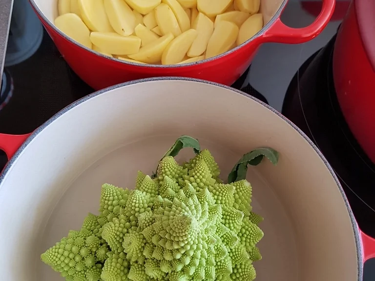 Medallions v. Schweinefilet à la Biggi - Rezept - Bild Nr. 2