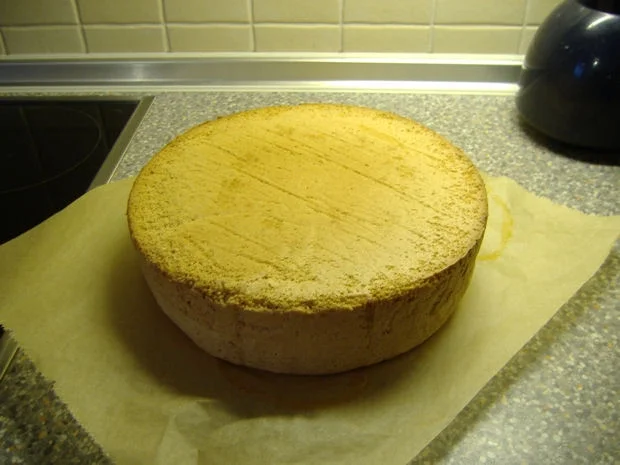 Rezept: Hagebutten-Sahne-Torte Bild Nr. 6 Hagebutten-Sahne-Torte - Rezept - Bild Nr. 6