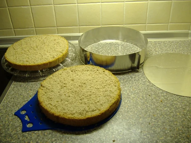 Rezept: Hagebutten-Sahne-Torte Bild Nr. 7 Hagebutten-Sahne-Torte - Rezept - Bild Nr. 7