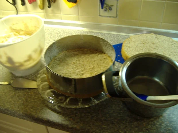 Rezept: Hagebutten-Sahne-Torte Bild Nr. 9 Hagebutten-Sahne-Torte - Rezept - Bild Nr. 9