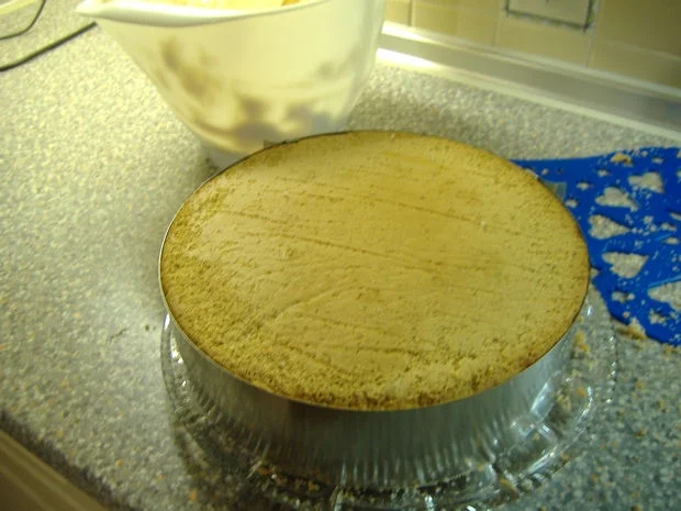 Rezept: Hagebutten-Sahne-Torte Bild Nr. 11 Hagebutten-Sahne-Torte - Rezept - Bild Nr. 11