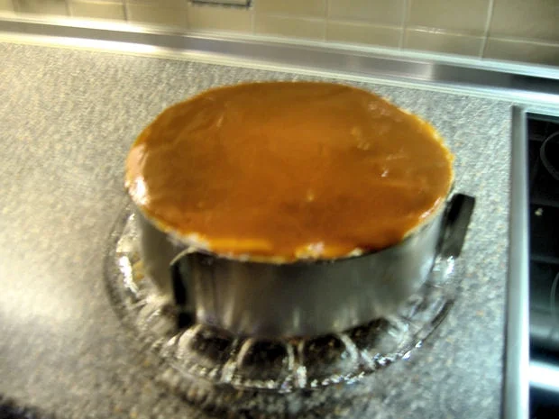 Rezept: Hagebutten-Sahne-Torte Bild Nr. 13 Hagebutten-Sahne-Torte - Rezept - Bild Nr. 13