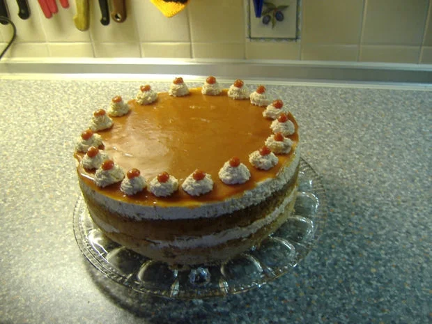 Rezept: Hagebutten-Sahne-Torte Bild Nr. 15 Hagebutten-Sahne-Torte - Rezept - Bild Nr. 15