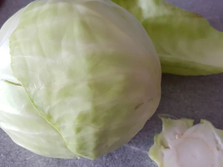 Kaninchen im Weisskohlkartoffelbett à la Biggi - Rezept - Bild Nr. 2