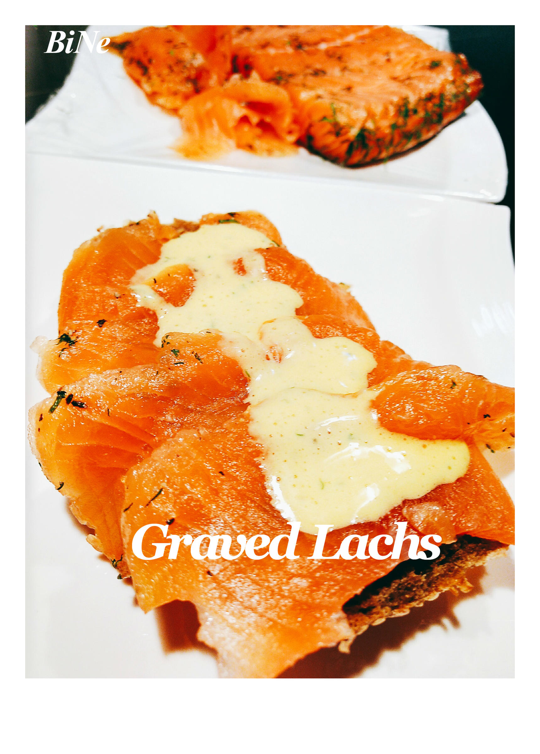 Bilder für BiNe` S GRAVED LACHS - Rezept