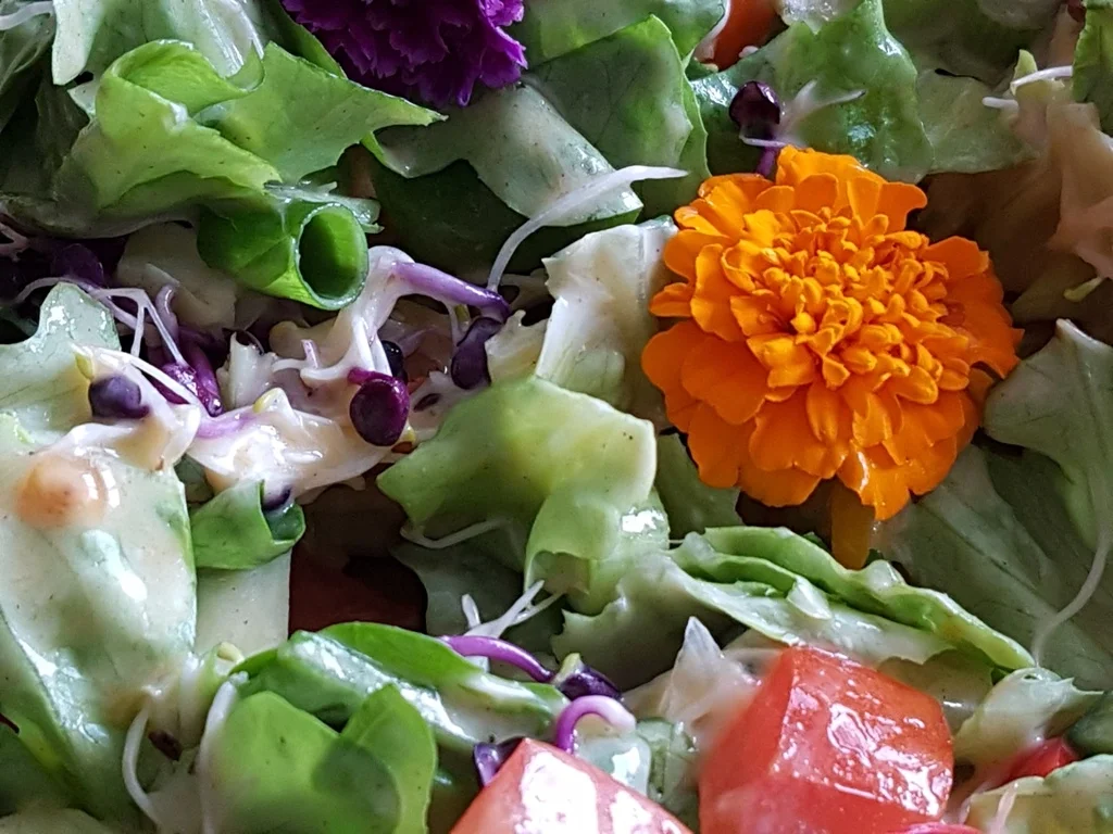 Ein "Wintersalat" edel und gehaltvoll - Rezept