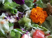 Ein "Wintersalat" edel und gehaltvoll - Rezept