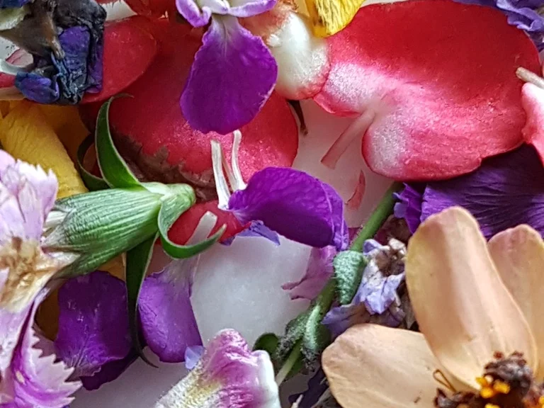 Ein "Wintersalat" edel und gehaltvoll - Rezept - Bild Nr. 4