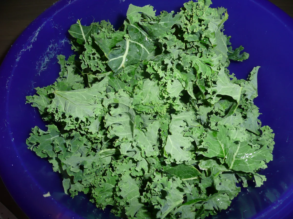 Schweinebraten an Grünkohl - Kartoffelstampf. - Rezept - Bild Nr. 4