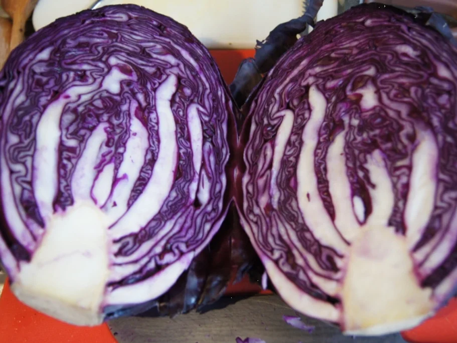 Rezept: Rotkohl mit Wild-Preiselbeeren Bild Nr. 2 Rotkohl mit Wild-Preiselbeeren - Rezept - Bild Nr. 2